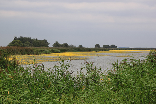 Hortobágy National Park